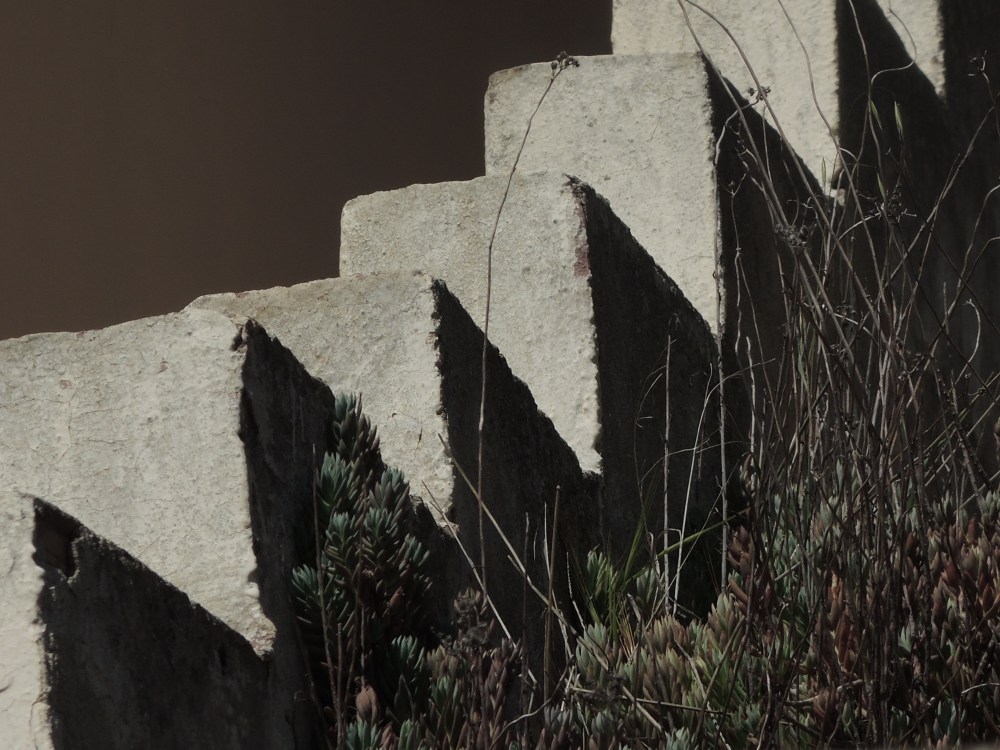 DSCN4557.jpg
